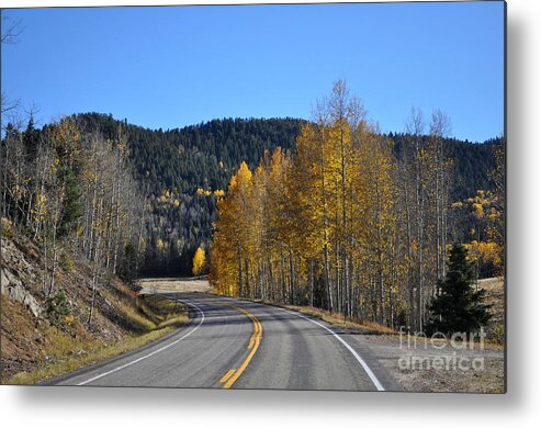 Fall Metal Print featuring the photograph Fall Drive by Anjanette Douglas