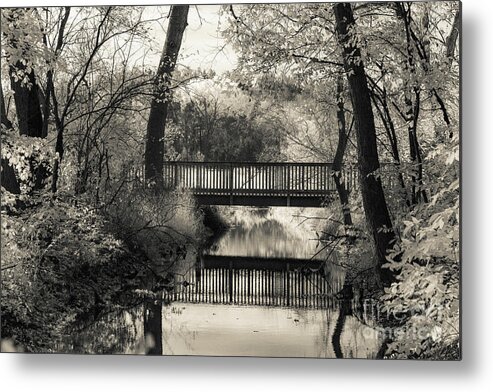 Black And White Metal Print featuring the photograph Fall in Black and White by CJ Benson