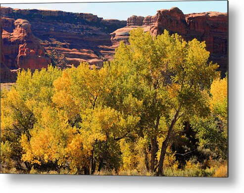 Reef In The Arches National Park. Image Is From My Book stopping By Woods Metal Print featuring the photograph Fall In The Arches by Lawrence Christopher