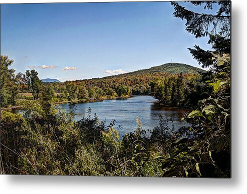 Trees Metal Print featuring the photograph Fall in the White Mountains by Deborah Klubertanz