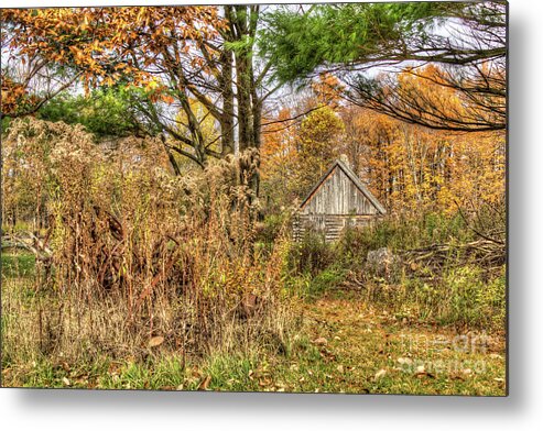 Fall Metal Print featuring the photograph Fall in The Woods by Rod Best