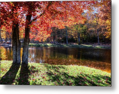 Fall Landscape Metal Print featuring the photograph Fall landscape by Ronda Ryan