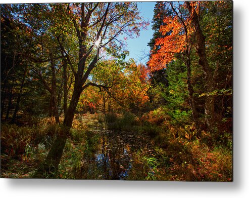 Kelly River Wilderness Metal Print featuring the photograph Fall Meadow And Sunburst by Irwin Barrett