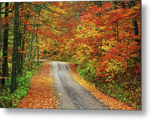 Fall Metal Print featuring the photograph Fall Postcard by Dale R Carlson