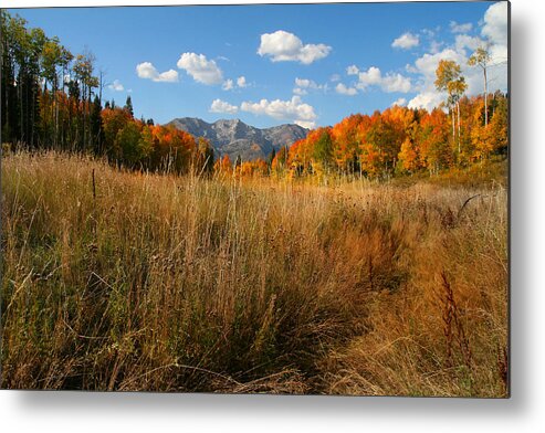Autumn Metal Print featuring the photograph Fall Slender by Mark Smith