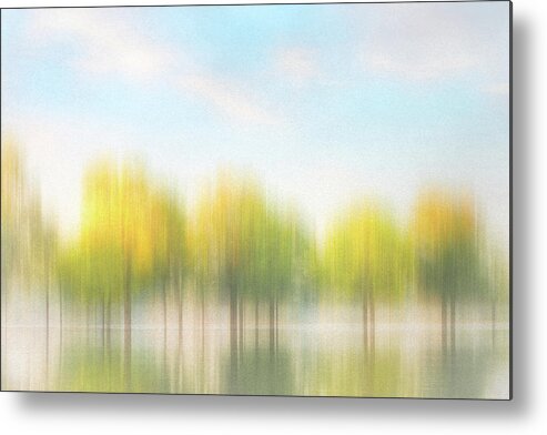 Art Metal Print featuring the photograph Fall Trees on flooded Lake by Robert FERD Frank