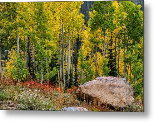 Fall Metal Print featuring the photograph Fall Turning by Juli Ellen