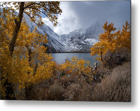 Lake Metal Print featuring the photograph Falling into Winter by Cat Connor