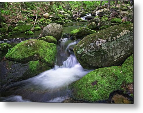 Waterfall Metal Print featuring the photograph Falls Brook Rushes by Allan Van Gasbeck