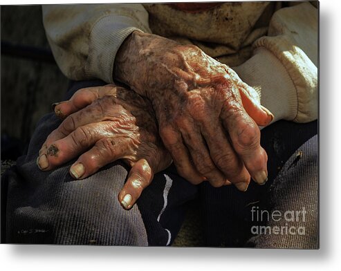 Tranquility Metal Print featuring the photograph Farm Hands by Craig J Satterlee