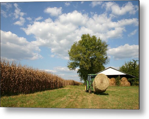 Farm Metal Print featuring the photograph Farm Life by Patricia Montgomery
