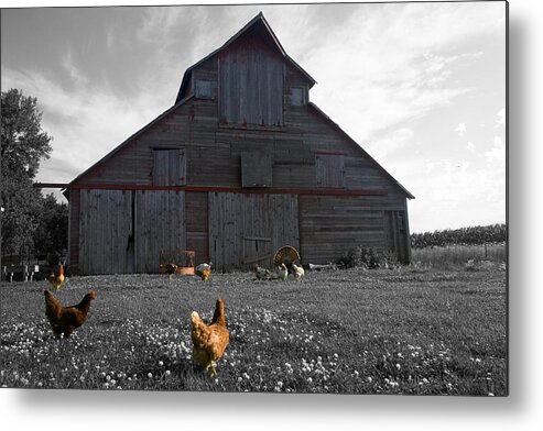 Unique Metal Print featuring the photograph Farmer John's by Dylan Punke