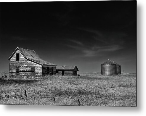 Black And White Metal Print featuring the photograph Farming Life Mono 1 by Celine Pollard