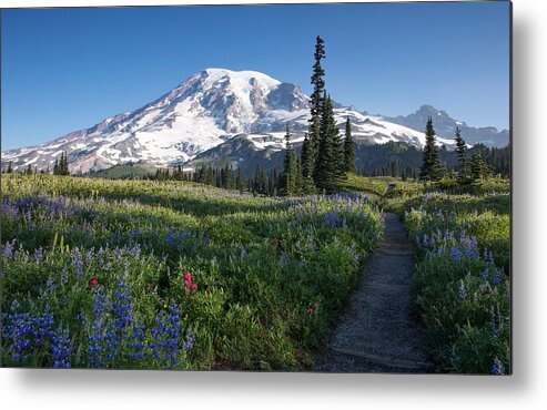 Favorite Time Of Year Metal Print featuring the photograph Favorite time of year by Lynn Hopwood