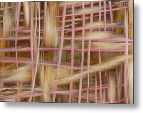 Abstract Metal Print featuring the photograph Feathered Fleeings by Deborah Hughes