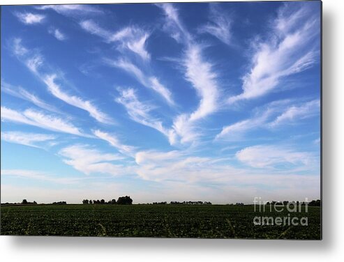 Clouds Metal Print featuring the photograph Feathers in Blue Sky by Yumi Johnson