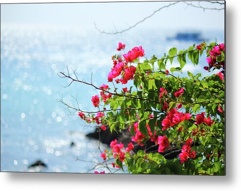 Sea Metal Print featuring the photograph Feel the color by Yekaterina Grigoryeva