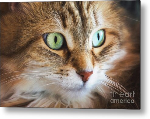 Cat Metal Print featuring the digital art Feline Focused Intensity by Sharon McConnell