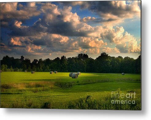 Mississippi Metal Print featuring the photograph Field of Grace by T Lowry Wilson