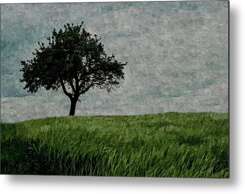 Field Metal Print featuring the painting Fields of Green Skies of White by David Dehner