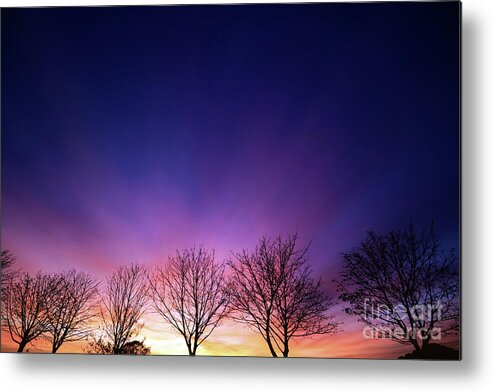 Sunset Metal Print featuring the photograph Fiery winter sunset with line of bare trees by Simon Bratt