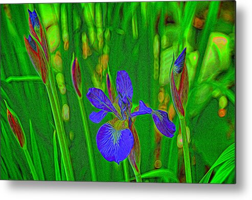 Iris Metal Print featuring the photograph First Iris to Bloom by Dennis Lundell