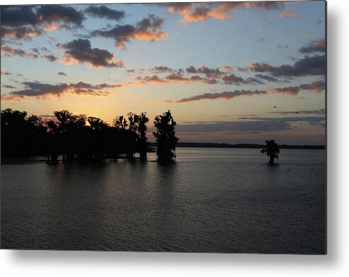 Landscape Metal Print featuring the photograph First Light by Steve Parr