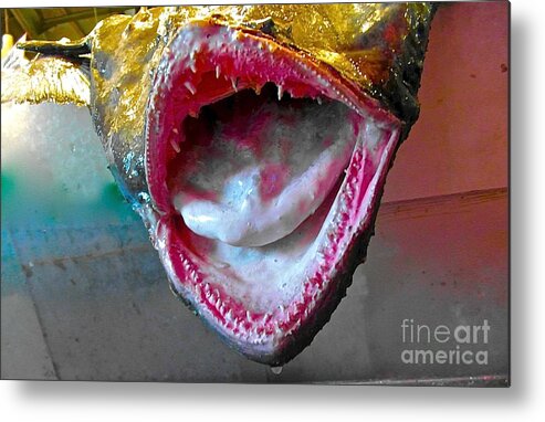 Fish Metal Print featuring the photograph Fish mouth by Elisabeth Derichs