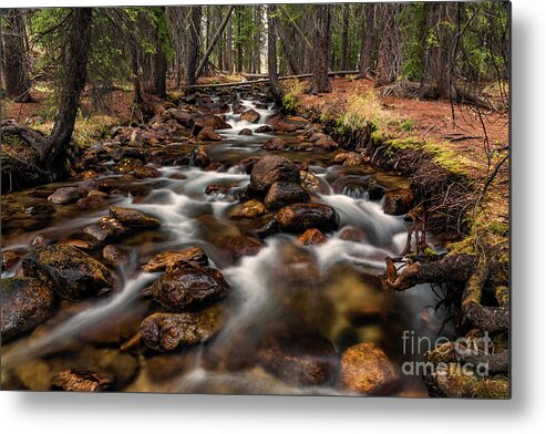 2016 Metal Print featuring the photograph Fishhook Creek Waterscape Art by Kaylyn Franks by Kaylyn Franks
