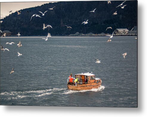 Birds Metal Print featuring the photograph Fishing Boat Alesund Harbor Norway by Adam Rainoff