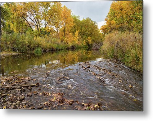 Stream Metal Print featuring the photograph Fishing Stream View by James BO Insogna
