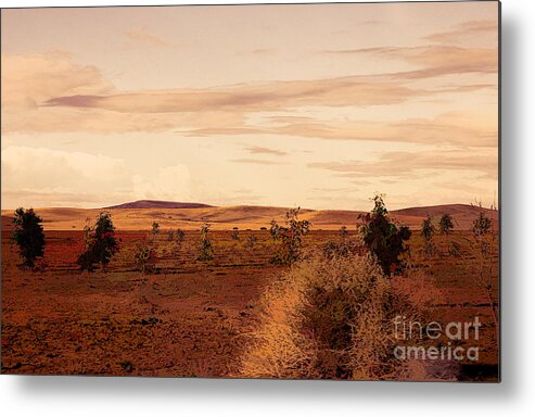 Morocco Metal Print featuring the photograph Flat Land Scenic Morocco View from Train Window by Chuck Kuhn