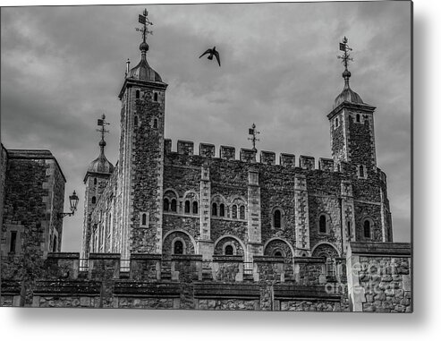 Tower Metal Print featuring the photograph Flight from the Tower by David Rucker