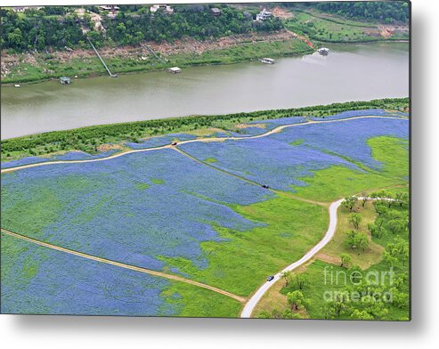 Texas Metal Print featuring the photograph Flight over the Bluebonnets by Cathy Alba