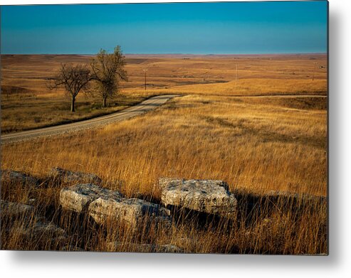 Prairie Metal Print featuring the photograph Flint Hills Two Trees by Jeff Phillippi