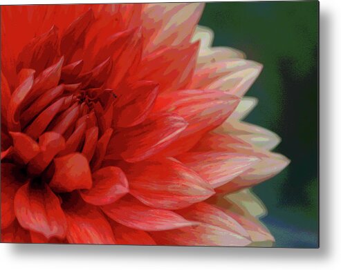 Floral Metal Print featuring the photograph Floral Delight by Mike Martin