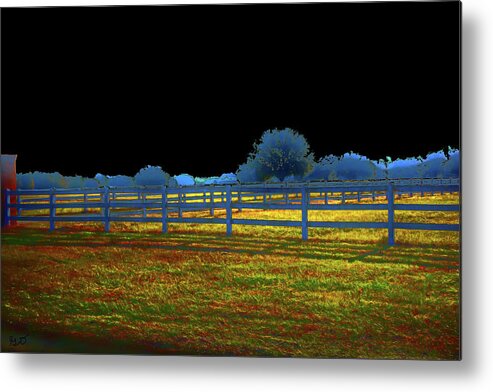 Ranchland Metal Print featuring the photograph Florida Ranchland by Gina O'Brien