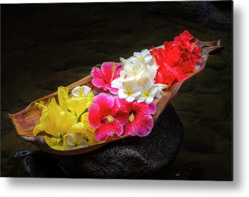 Flowers Metal Print featuring the photograph Flower Boat by Daniel Murphy