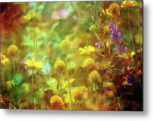 Impression Metal Print featuring the photograph Flower Garden 1310 IDP_2 by Steven Ward