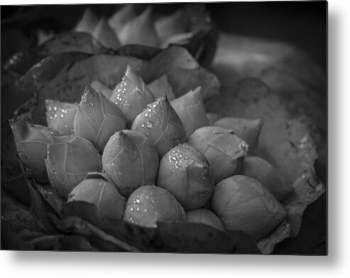 Bangkok Metal Print featuring the photograph Flower Market 3 by Kathy Adams Clark