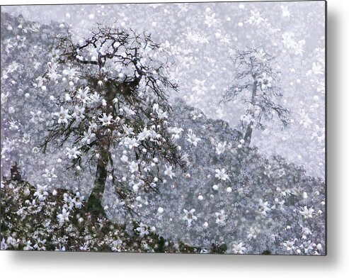 Fantasy Metal Print featuring the photograph Flower Shower by Ed Hall