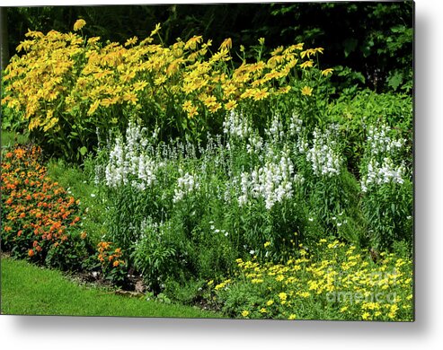 Michelle Meenawong Metal Print featuring the photograph Flowers In The Park by Michelle Meenawong