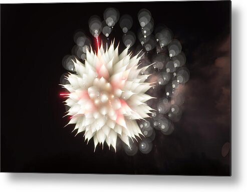 Fireworks Metal Print featuring the photograph Flowers in the Sky by Alex Lapidus
