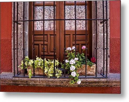 San Miguel De Allende Metal Print featuring the photograph Flowers in Window Box San Miguel de Allende by Carol Leigh
