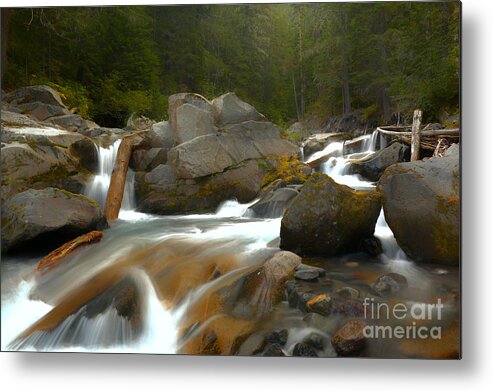  Metal Print featuring the photograph Flowing Along Ven Trump Creek by Adam Jewell