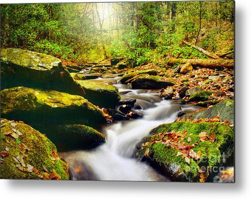 Beauty Metal Print featuring the photograph Flowing Softly by Darren Fisher