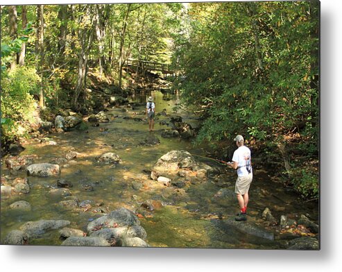 Fly Fishing Metal Print featuring the photograph Fly Fishing on South Mountain by Karen Ruhl