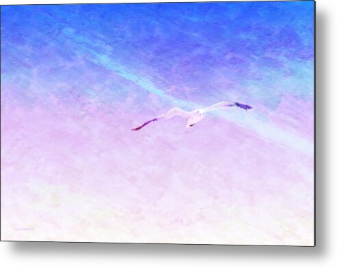 Island Metal Print featuring the digital art Flying Solo by Wally Boggus