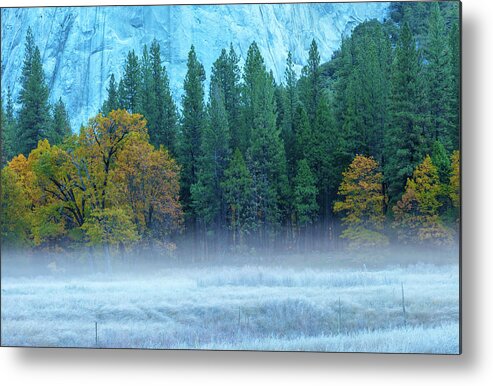 Nature Metal Print featuring the photograph Fog-Frost-Fall by Jonathan Nguyen