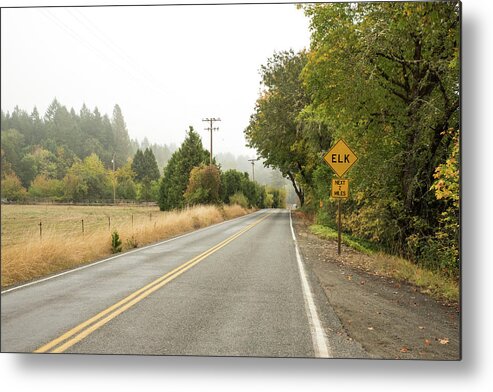 Fog On Placer Road Metal Print featuring the photograph Fog on Placer Road by Tom Cochran